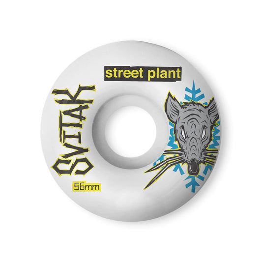 Street Plant skateboards Svitak skate rat 56mm wheels
